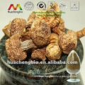 ISO&GMP Polysaccharides Agaricus Extract